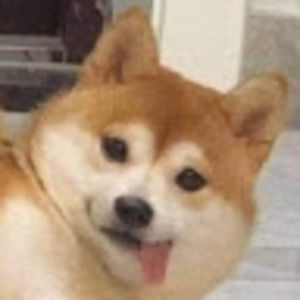 Meet your Posher, Georgia